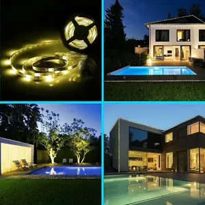 Bande LED solaire intelligente, lumière froide télécommandée pour décoration de <span class=keywords><strong>jardin</strong></span> extérieur de luxe <span class=keywords><strong>et</strong></span> éclairage nocturne - Product Image 5