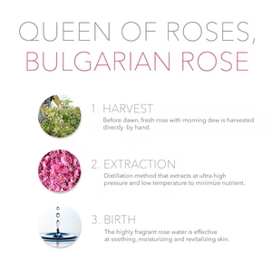 Spray hydratant pour le visage à l'<span class=keywords><strong>eau</strong></span> <span class=keywords><strong>de</strong></span> <span class=keywords><strong>rose</strong></span>, vegan et naturel, soin <span class=keywords><strong>de</strong></span> la peau, étiquette privée, tonique pour le visage - Product Image 4