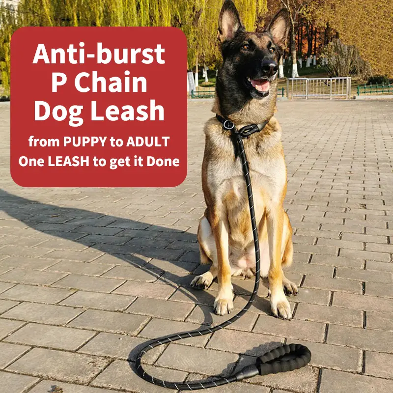 Cadena P de nailon reflectante ajustable, collares para mascotas todo en uno, correas de cuerda trenzada para perros con asa solf