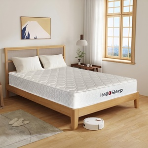 2-in-1 Ergonomic chia vùng lạnh bọt Bộ nhớ bọt mềm Công ty hai mặt flippable nệm có thể giặt bao gồm thiết kế hiện đại khách sạn - Product Image 1