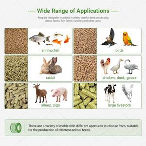 Pig Sheep 1mm Production Granulator Ring Mold Pellet <b>Feed</b> <b>Processing</b> Maker <b>Machine</b> Make Grass for <b>Feed</b> - Product Image 6