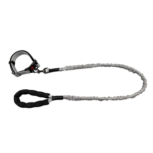 Haustierhalsband & 2,5 cm breites Halsband für mittelgroße und große Hunde mit 130–170 cm elastischer Leine, Anti-Zug-Set für den Spaziergang mit Haustieren für <span class=keywords><strong>Golden</strong></span> <span class=keywords><strong>Retriever</strong></span> - Product Image 3