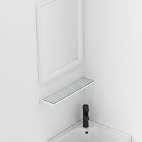 Ensemble de lavabo de salle de bain moderne sur pied, lavabo mural avec miroir, robinet d'eau froide, accessoires de tuyauterie d'évacuation