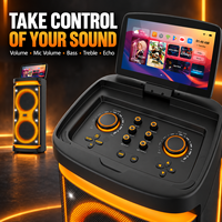 Machine de karaoké pour adultes avec affichage des paroles, écran 13,3 pouces, 100W, 2+2 canaux, microphone sans fil, éclairage LED RGB, compatible ordinateur/téléphone portable