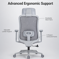 Chaise de bureau exécutive ergonomique contemporaine en maille de haute qualité avec soutien lombaire flexible et accoudoirs 3D réglables pour le bureau à domicile