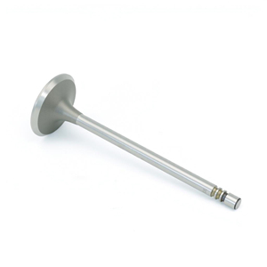 Válvula de Motor para Cadillac BLS 2.0 T Flexpower Z 20 LER OE:0641022 4500849 641022 Válvula de Admisión - Product Image 1