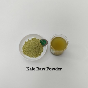 Polvere di Kale Superfood, 100% Pura Polvere di Kale Naturale per Frullati, Cottura Salutare, Succhi e Integratori Alimentari - Product Image 3