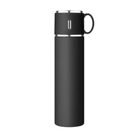 Bouteille isotherme haut de gamme de 580 ml avec poignée, filtre à thé intégré, personnalisation sur mesure, commande en gros pour clients professionnels d'élite