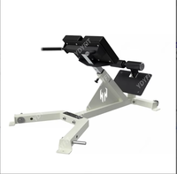 Équipement de gym professionnel : Banc d'extension dorsale à 45 degrés / Les fabricants fournissent des équipements sportifs pour la gym
