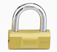 Cadenas en laiton robuste, cadenas de sécurité en laiton massif, double verrouillage