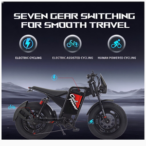 Bicicleta Eléctrica Plegable de 20 Pulgadas con Batería de Litio-Ferrofosfato, Pedaleo Asistido Electrónico, 7 Velocidades, Motor de 48V en la Rueda Trasera, Doble Motor - Product Image 5