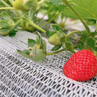 Filet de soutien pour fraises, filet de protection pour fruits de fraises au sol, filet de protection en maille