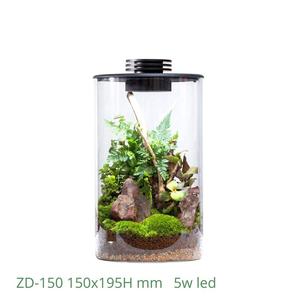 Terrario de vidrio bio cilíndrico de 5W-10W LED Mossarium para paisajismo decorativo con ventilación, 200/ - Product Image 3