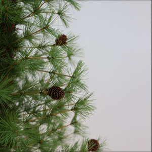 <span class=keywords><strong>Sapin</strong></span> de Noël artificiel en épicéa de <span class=keywords><strong>120</strong></span> <span class=keywords><strong>cm</strong></span>, pré-décoré avec baies rouges, cônes de pin et aiguilles de pin réalistes, base de table - Product Image 3