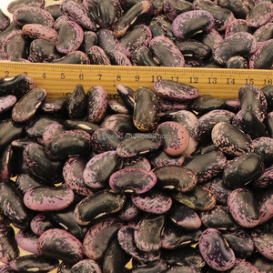 Frijoles de mantequilla chinos Nihewan secos no Gmo púrpura frijoles de riñón moteados negros grandes - Product Image 6
