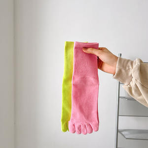 <span class=keywords><strong>Calcetines</strong></span> <span class=keywords><strong>separadores</strong></span> <span class=keywords><strong>de</strong></span> 5 <span class=keywords><strong>dedos</strong></span> deportivos <span class=keywords><strong>de</strong></span> Yoga, <span class=keywords><strong>calcetines</strong></span> <span class=keywords><strong>separadores</strong></span> <span class=keywords><strong>de</strong></span> 5 <span class=keywords><strong>dedos</strong></span> <span class=keywords><strong>de</strong></span> Color liso, <span class=keywords><strong>calcetines</strong></span> <span class=keywords><strong>de</strong></span> algodón al por mayor para mujer - Product Image 4