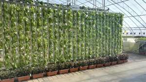 Torre de Cultivo Hidropónico, Sistema de Cultivo Vertical con Bomba, PVC de Grado Alimenticio Ecológico, Blanco, de Una o Dos Caras, Cultivo Hidropónico Completo - Product Image 5