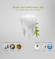 Polvo de Carbón Activado para Refrescar el Aliento de Marca Privada, Polvo Blanqueador Dental de Carbón Activado Negro con Menta Natural