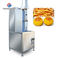Roestvrijstalen Voedselmachine Automatische Mango Watermeloen Schilmachine Pompoen Witte Kalebas Dunschiller (TS-P30)