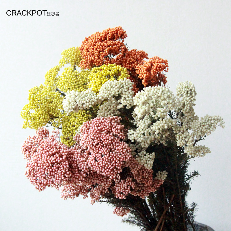 50 г вечная сухая рисовая цветок просо головки цветов DIY домашнего декора свадебного банкета Природный центральные засушенные цветы