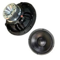 Haut-parleur de graves Line Array double de 10 pouces Neo 400W avec bobine de 75 mm