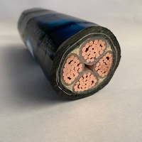 Câble d'alimentation blindé 3+2 conducteurs CU/XLPE/STA 3x150+2x95mm 3x240mm+1x120mm 3x10mm 3x16mm 3x50mm 3x70mm 95mm 150mm 185mm 240mm 400mm