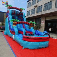 Toboggan gonflable neuf de 16 pieds, design moderne, toboggan aquatique commercial humide et sec pour enfants et adultes, amusement