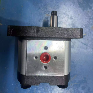 Bomba de Engranajes PGE-103-4200-RBS1-N-A PGE-103-4200-RBS1-N-B PGE103 PGE120 Componentes del Sistema Hidráulico Móvil - Product Image 5