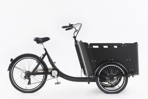 Vélo cargo électrique à <span class=keywords><strong>3</strong></span> <span class=keywords><strong>roues</strong></span> pour l'exportation, boîte frontale, bakfiets, vélo <span class=keywords><strong>hollandais</strong></span> - Product Image 3