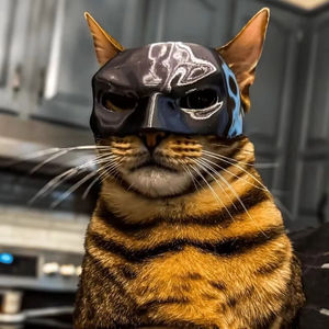 Máscara de Gato Vengador 2025 Mejorada, Talla Única para la Mayoría de los Gatos, Sombrero de Cosplay, Juguetes Divertidos, Máscaras para Gatos, Accesorios para Mascotas, Accesorios para Fotos - Product Image 2