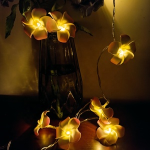 ไฟ Led ประดับวันหยุดอื่นๆ,ไฟ LED สำหรับตกแต่งงานแต่งงานไฟสาย Led 10ดวงสำหรับห้องนอนตกแต่งเทศกาลคริสต์มาส - Product Image 3