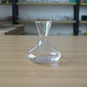 桌子装饰定制玻璃花瓶玻璃壶用于花卉/植物/植物学