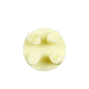 Maniquí Dental en Forma de Disco Relleno de Resina para Prácticas y Exámenes de Estudiantes, Uso Educativo Portátil YOUYA DENTAL MX-121 - Product Image 4