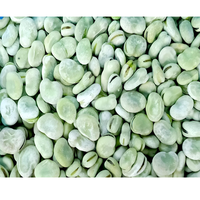Prix compétitif Avantage santé Légumes IQF de qualité naturelle Offre une fève verte surgelée