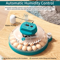Couveuse à œufs intelligente automatique pour usage domestique-Éclosoir à œufs pour petits oiseaux avec tourneur automatique et contrôle de la température constante