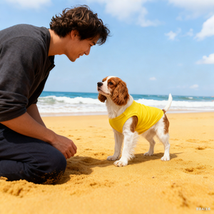 봄 시즌 맞춤형 고급 여름 슬림핏 강아지 티셔츠, 폴리에스터 및 면 소재, 커스텀 로고 제작 - Product Image 3