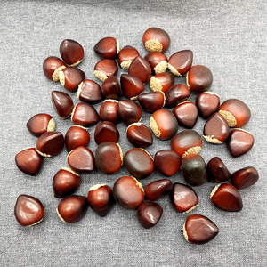 Decoratieve echt walnoten 15-25mm - zakje 25gr