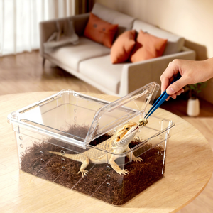 Boîte d'alimentation rectangulaire en plastique haute transparence pour reptiles 19x12.5x8cm avec couvercle pour lézards, geckos, serpents, insectes, petits animaux - Product Image 1