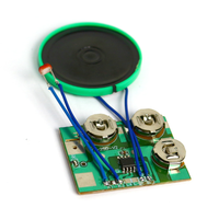 Modul Suara Terprogram Khusus dengan Fungsi Rekam Suara yang Dapat Diunduh via USB untuk Mainan, Hadiah, dan Produk Elektronik