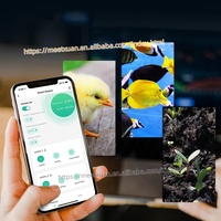 TUYA 16A Interrupteur à distance avec capteur, sonde étanche, surveillance de la température Wifi, moniteur sans fil à distance pour maison intelligente