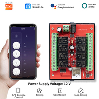 Contrôleur de porte de garage WiFi 12V, module récepteur d'interrupteur d'éclairage intelligent, fonctionne avec Alexa Google Home, commande vocale