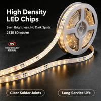 Bande LED SMD2835 80 LED à spectre complet, lumière blanc chaud, 5m, haute efficacité 180lm/w, CRI 83, effet lumière solaire, pour aménagement paysager