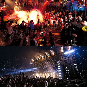 Professional Wooden Audio System AC-<strong>Powered</strong> Passive <strong>Line</strong> <strong>Array</strong> Column <strong>Speaker</strong> - Product Image 6