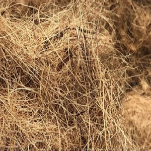 Fibra de coco natural de alta calidad para colchones, cepillos, cuerdas, esteras para cultivo, fibra de coco para mantillo, venta al por mayor de La India - Product Image 1