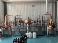 Machine de distillation électrique automatique à double cuve de 500 litres pour whisky, rhum, vodka (cuivre et acier)