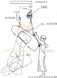 Máy cưa tách thịt bò hiệu quả cao cho máy cắt thịt bò giết mổ giết mổ 50 gia súc mỗi ngày giờ - Product Image 6