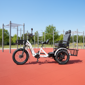Scooter spécial à 3 roues, tricycle électrique de <span class=keywords><strong>transport</strong></span>, puissance 2500W, carrosserie ouverte, batterie 48V 132ah pour le <span class=keywords><strong>transport</strong></span> <span class=keywords><strong>et</strong></span> la mobilité - Product Image 1