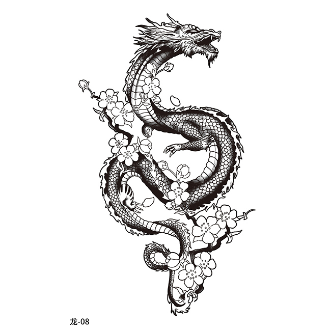 Dragon-08