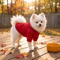 Sweat-shirt à capuche pour animaux de compagnie, classique, sportif et de loisirs, de luxe, en mélange de polyester doux de haute qualité pour chiens et chats (XS-5XL)