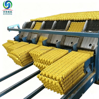 Ligne de production automatique de barquettes à œufs en pâte à papier, capacité 7000 pièces/heure, tension personnalisée, 40000 kg